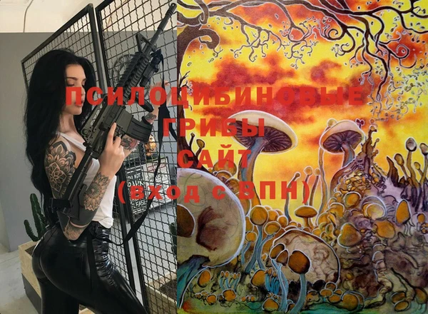 спайс Михайлов